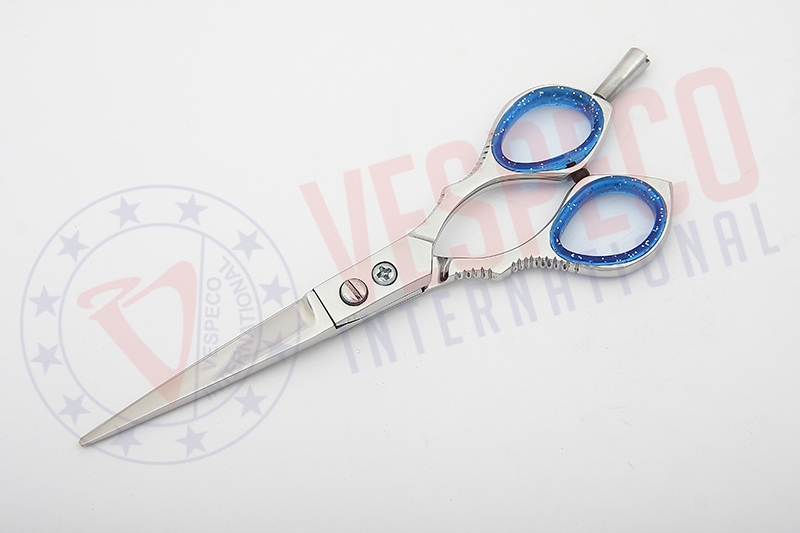 Professional Hairdressing Scissors